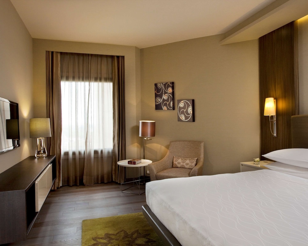 Hyatt Regency Delhi 18/72