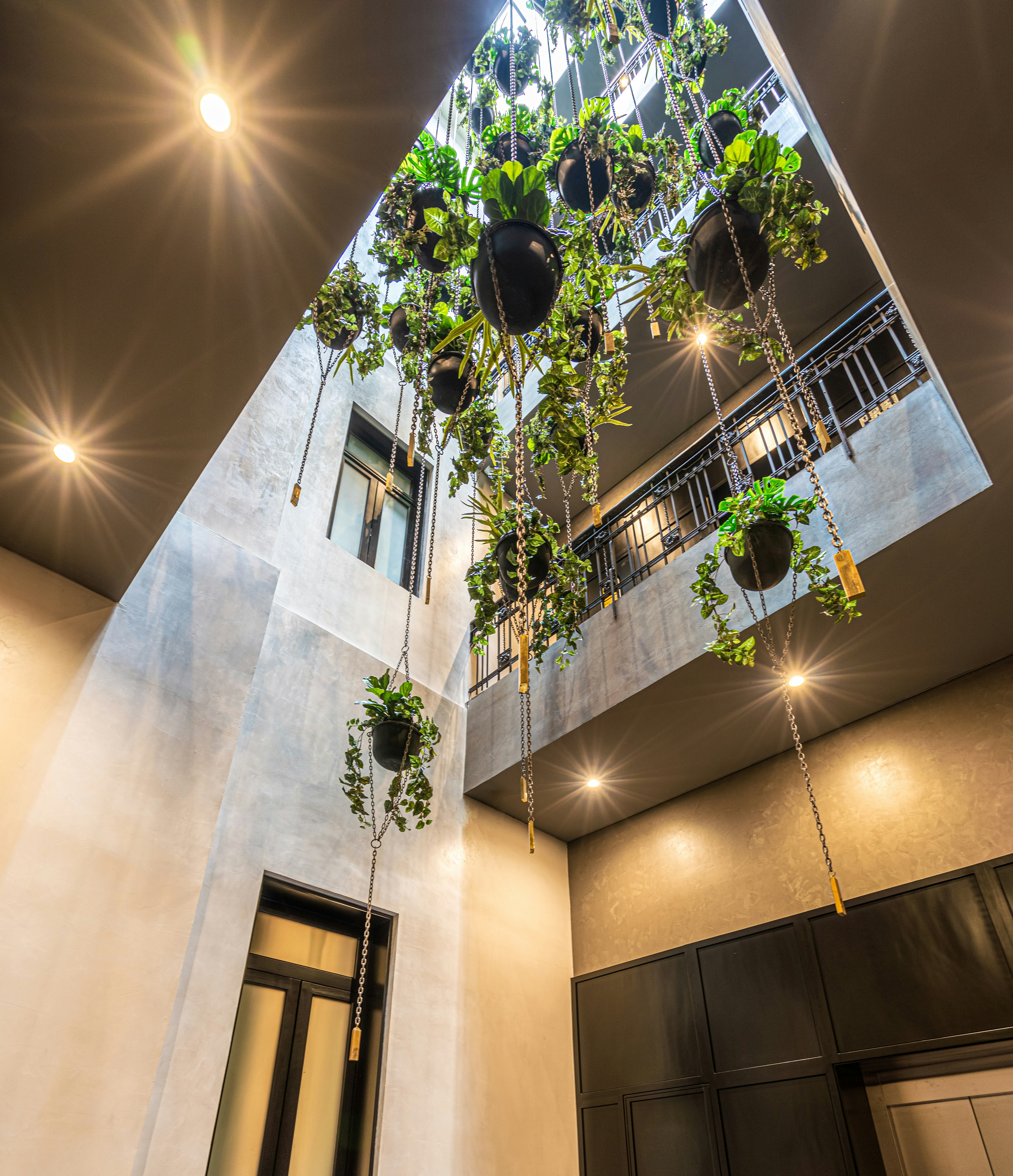 Umbral, Curio Collection by Hilton 6/48