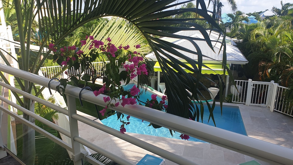 Majesty Palm 39/46