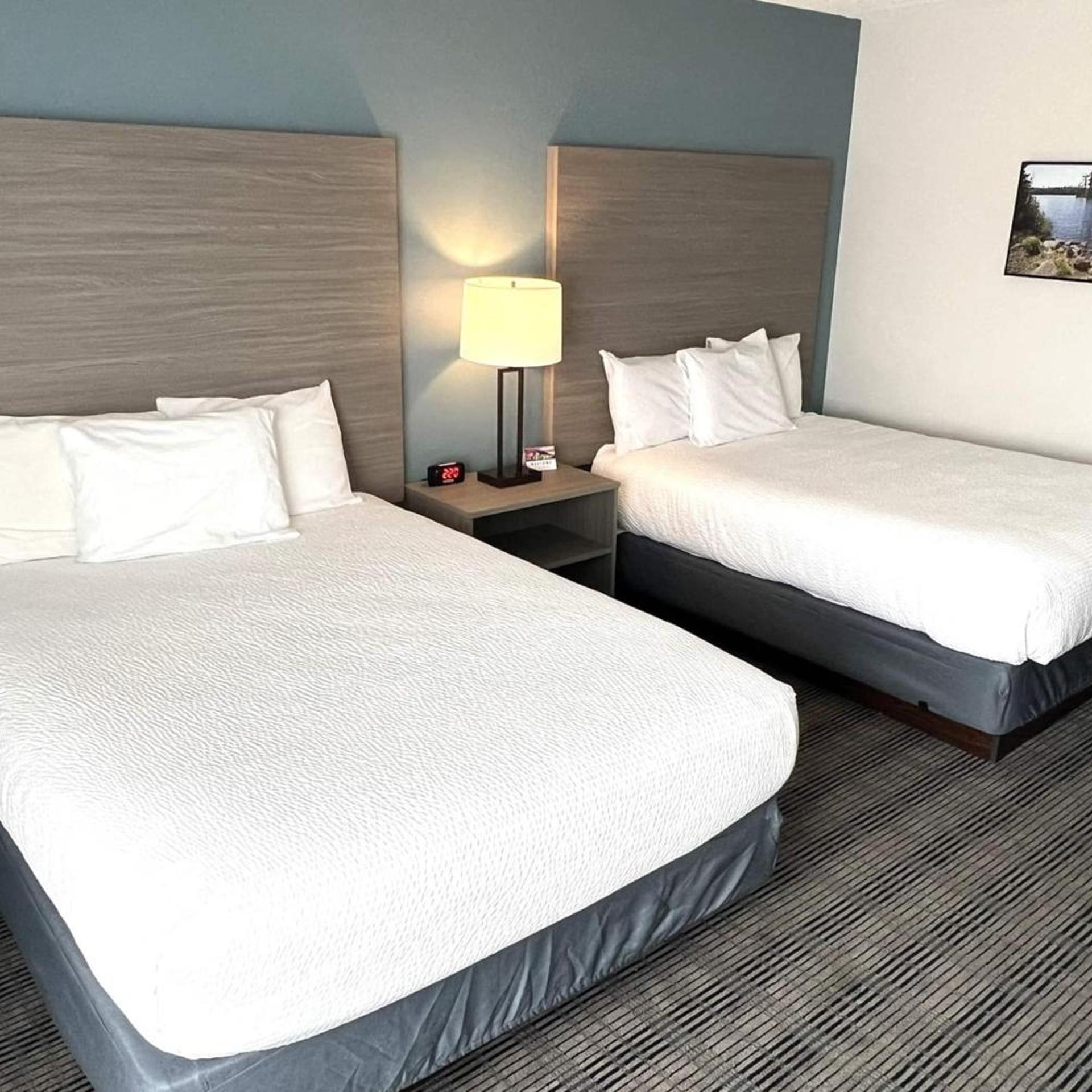 غرفة ديلوكس بسرير كوين لذوي الإعاقة