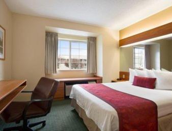 Suite, Queen Bed
