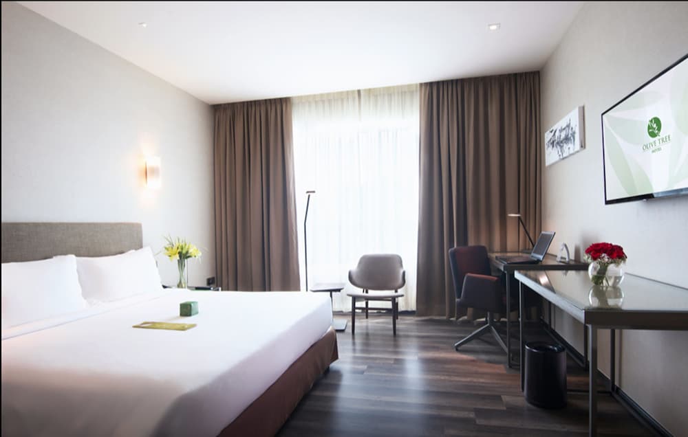 Olive Tree Hotel 18/63