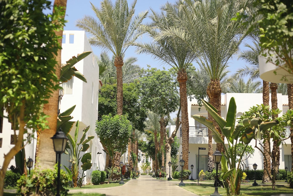 Jaz Fanara Resort and Residence 6/50