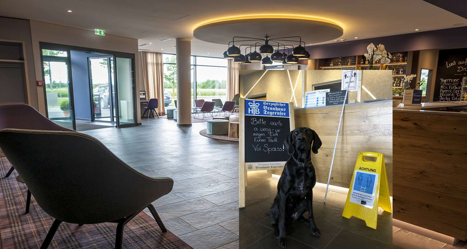 Best Western Hotel The K Munich Unterfoehring 6/50