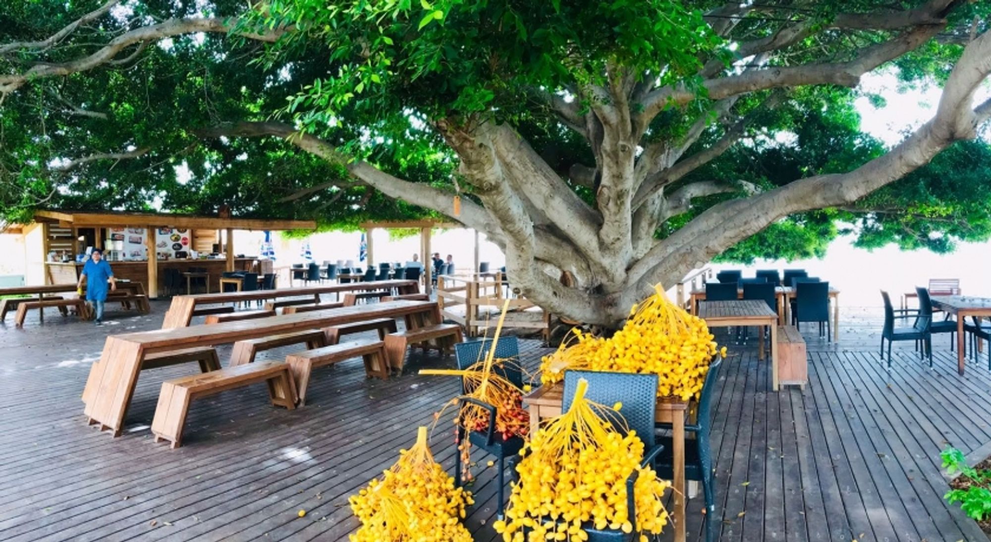 Marvel Tree Hotel 20/36