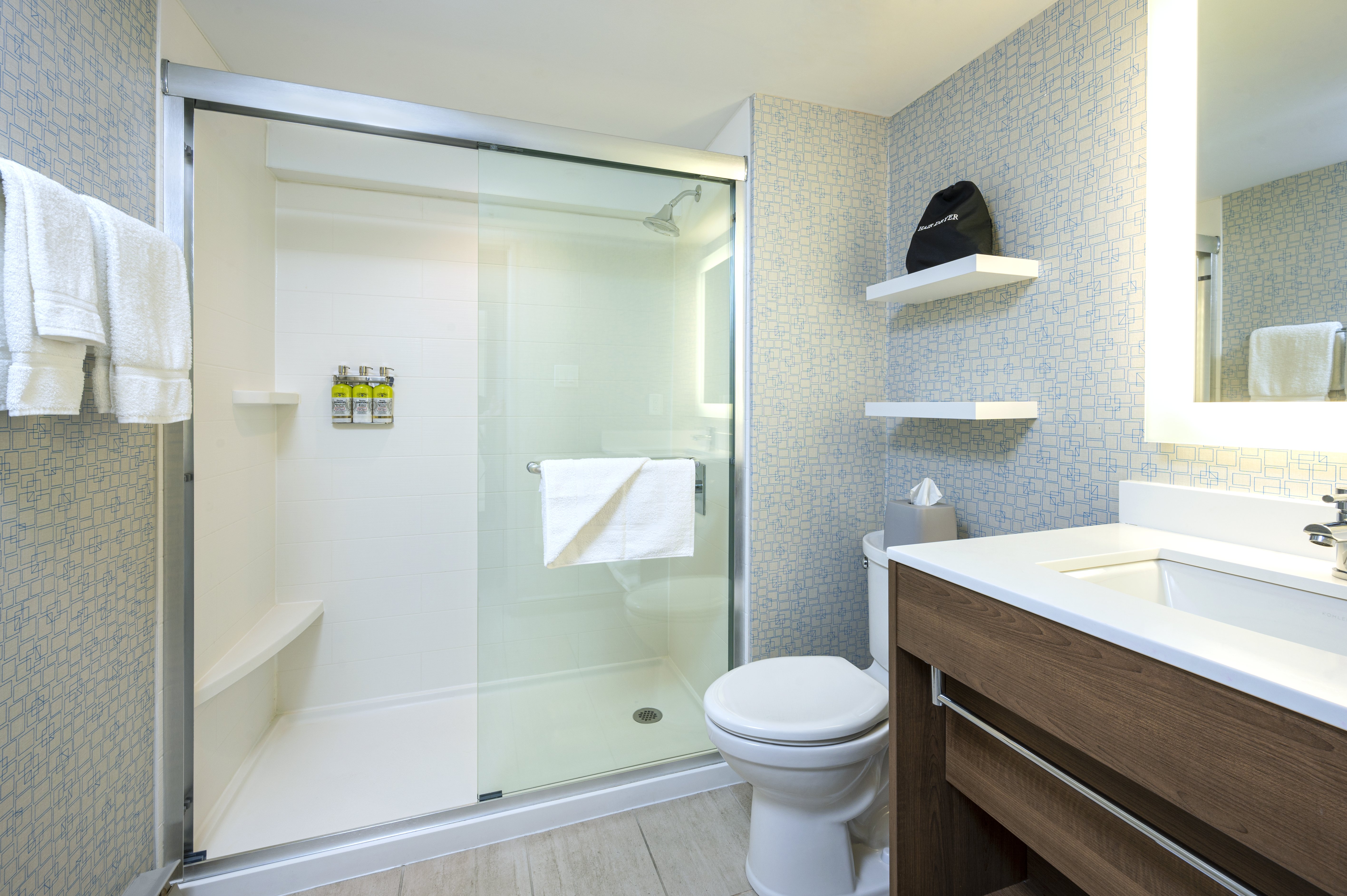 Holiday Inn Express Toronto Downtown 74/76