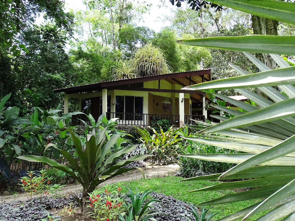 Heliconia Island 3/74