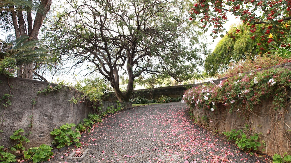 Quinta Das Malvas 22/31