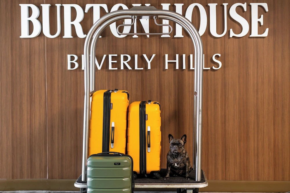 Burton House, Beverly Hills, A Tribute Portfolio Hotel 21/50
