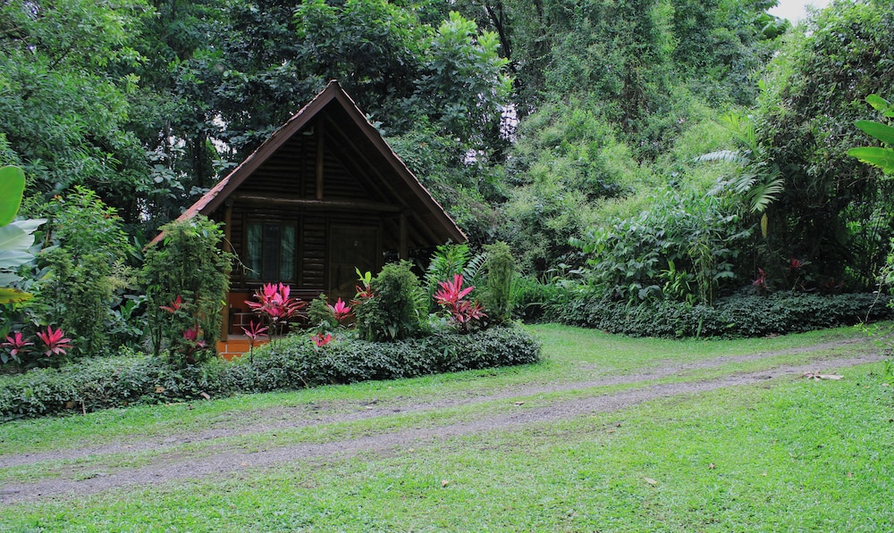 Arenal Oasis 42/50
