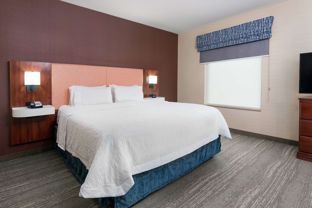 Studio, Suite, King Bed, Sofa