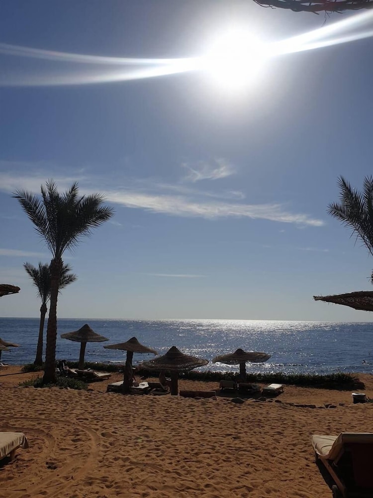 Monte Carlo Sharm Resort Spa 46/50