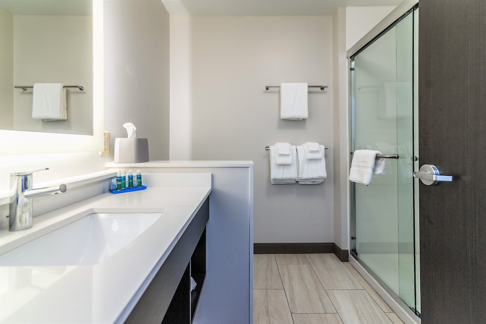 Holiday Inn Express Suites Allen Park 69/72