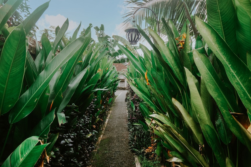 Anggira Villa Ubud 33/50