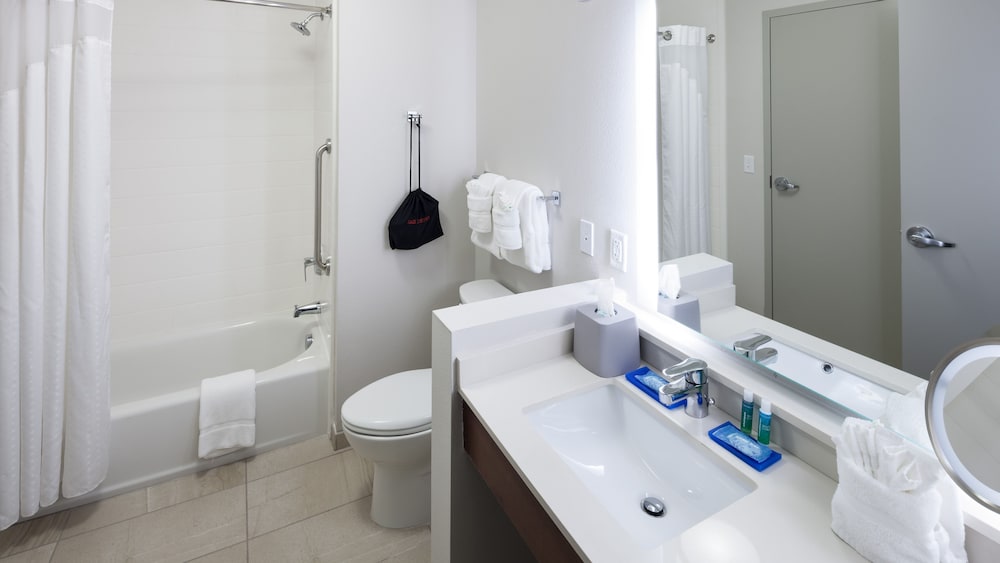 Holiday Inn Express Suites Orlando At Seaworld An Ihg Hotel 14/57
