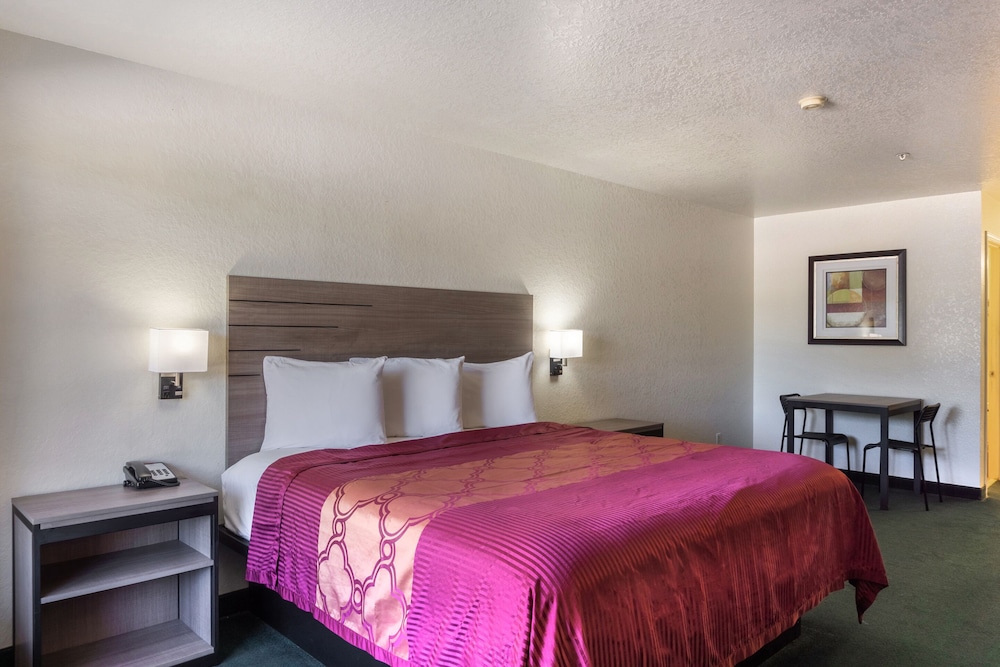 Oyo Inn And Suites Medical Center San Antonio 26/47