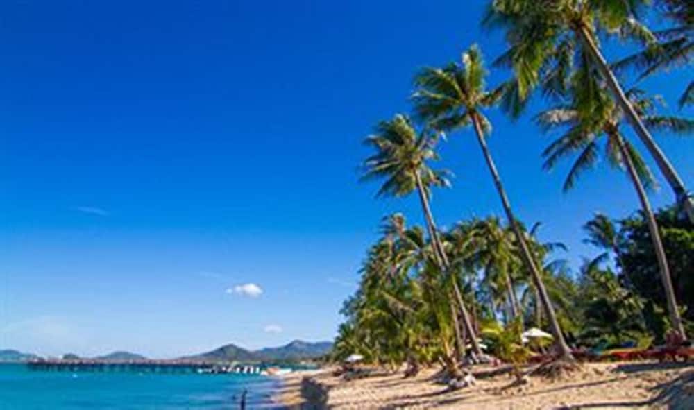 Coco Palm Beach Resort 51/66
