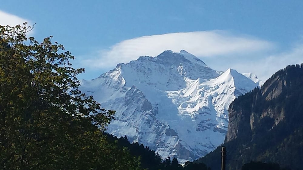 Alpenrose Hotel and Gardens 44/50