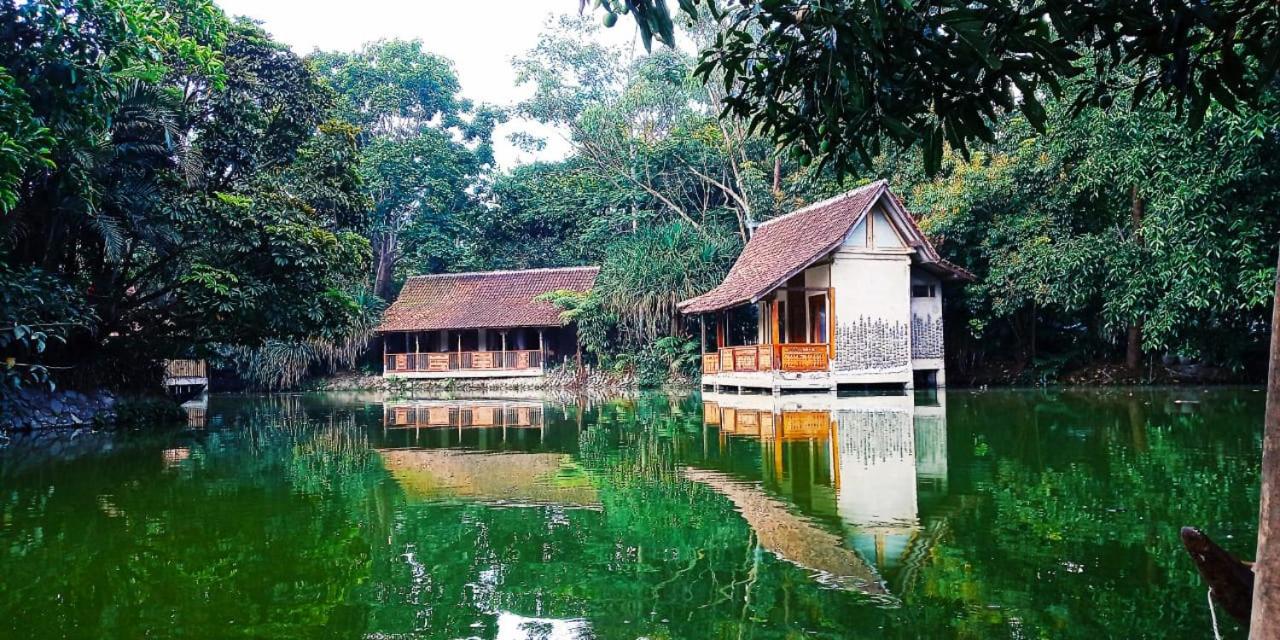 Sapu Lidi 28/31