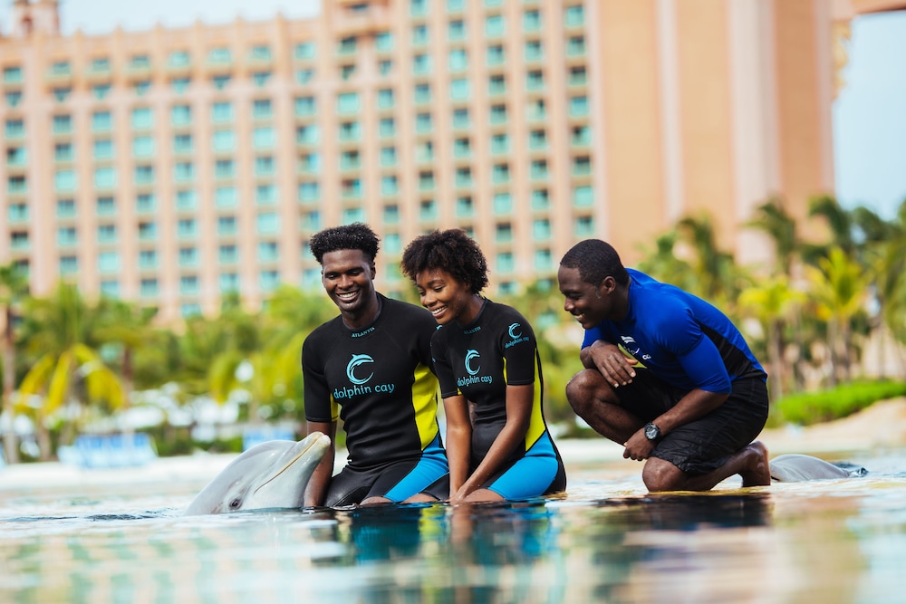 Harborside Resort At Atlantis 26/72
