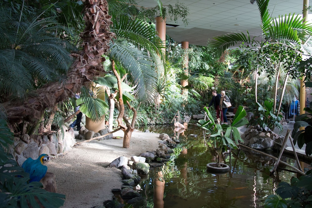 CENTER PARCS LES BOIS FRANCS 48/50
