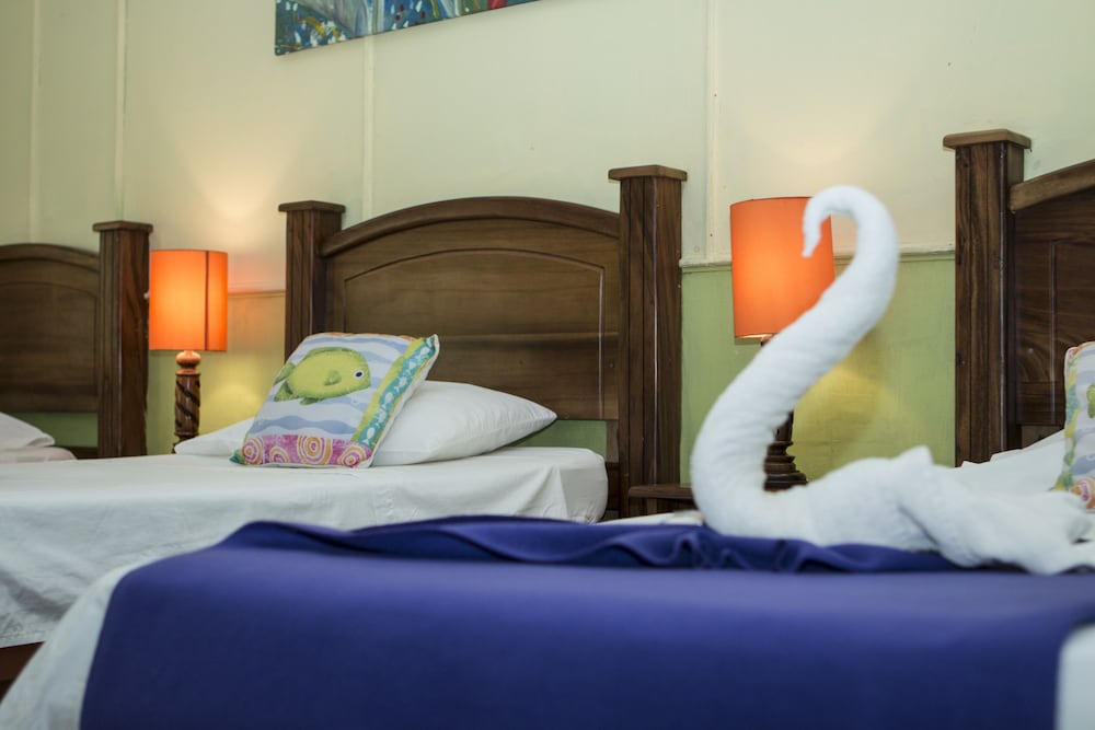 Caribbean Paradise Eco-Lodge 21/50