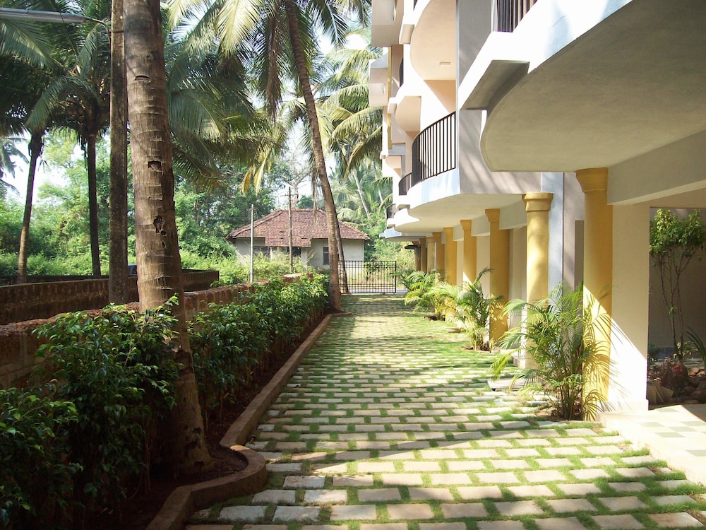 Treehouse Blue Goa 14/18