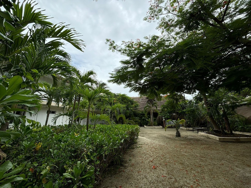 La Diosa Kali Beach Front Hotel 32/50