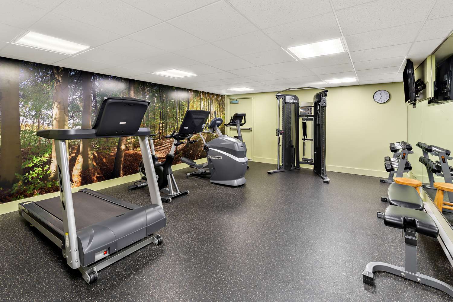 Best Western PLUS Inner Harbour Hotel 20/47
