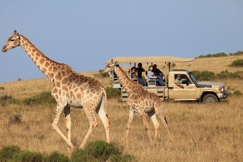 Botlierskop Private Game Reserve 73/83