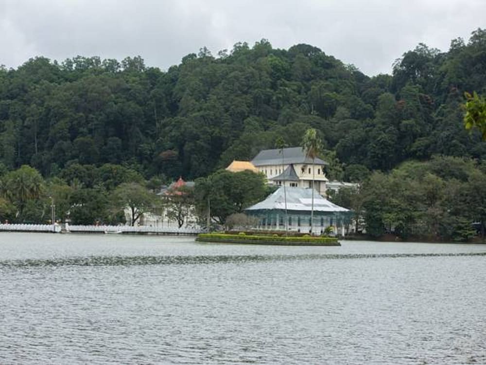 Heaven Seven Kandy 60/64
