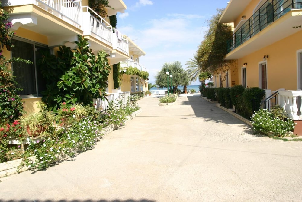 Complex Lemon Grove 19/61