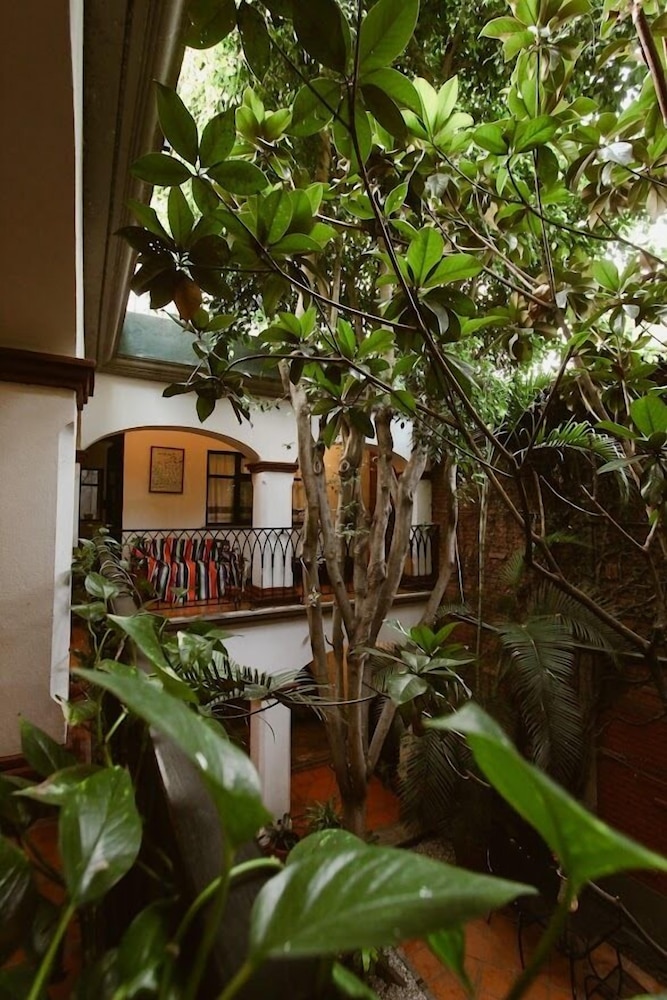 Hotel Casa Guiva 39/44
