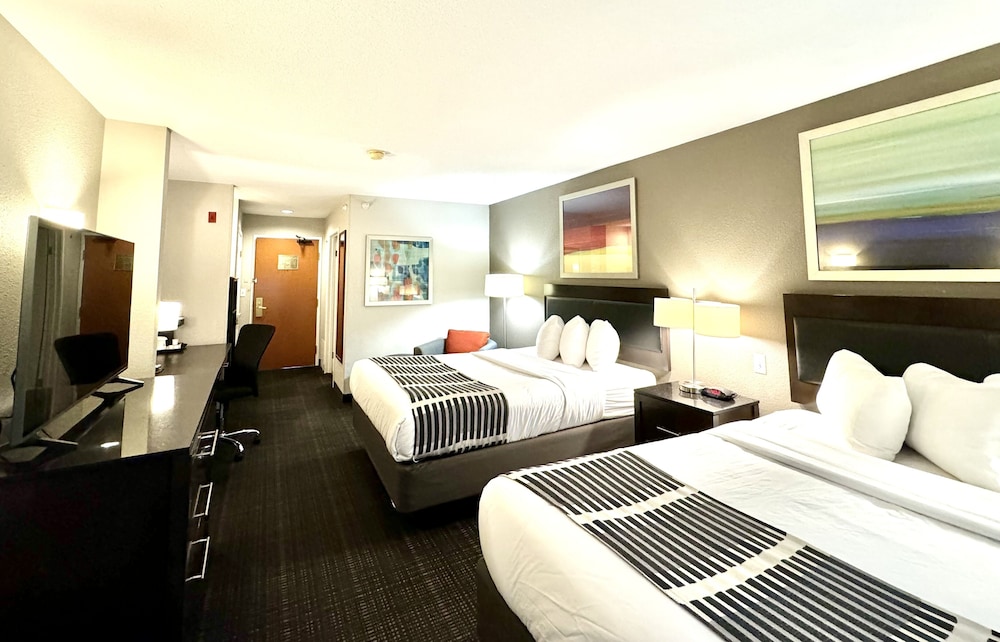 Business, 2 Queen Beds, Accessible