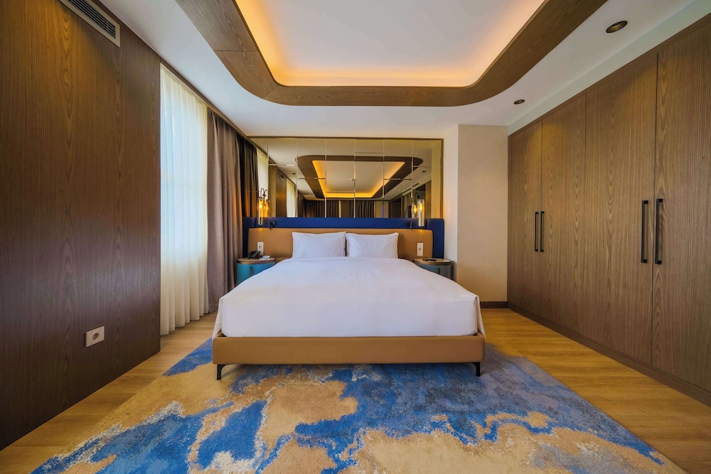 Radisson Hotel Istanbul Sultanahmet 23/50
