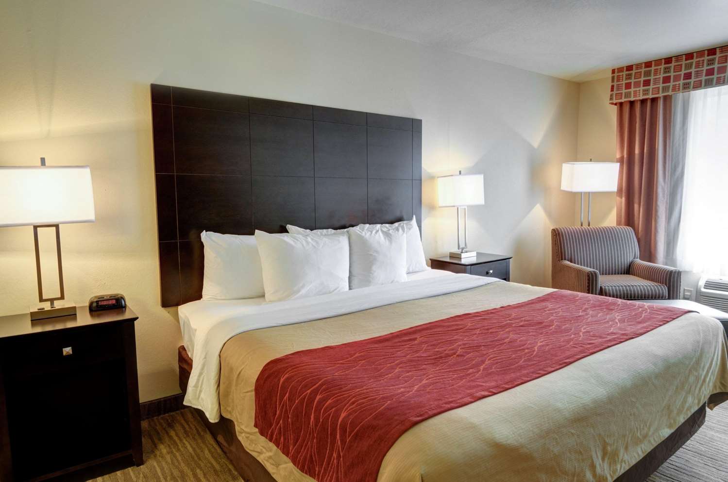 Room, King Bed, Comfort Inn & Suites Amarillo West Near Medical Center 3/3