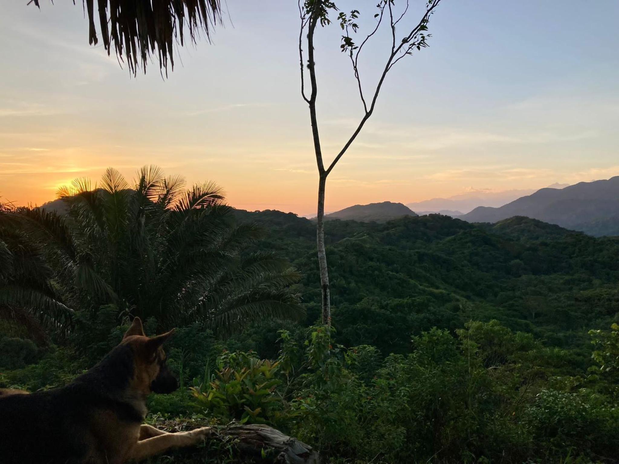La Cima Tayrona 24/31