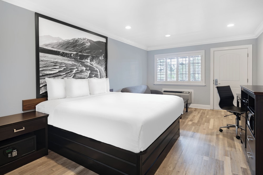 Junior Suite, Studio, King Bed, Sofa
