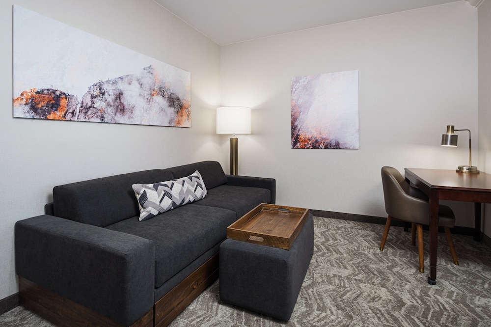 Springhill Suites Denver Airport 22/41