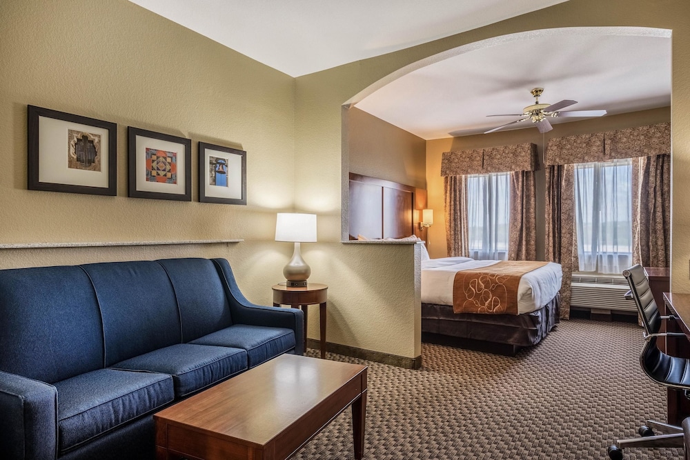 Comfort Suites Near Texas State University 21/32