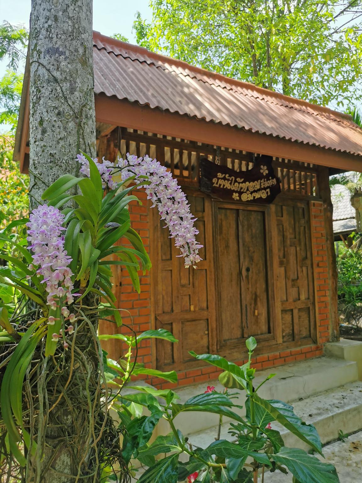 Banmaihom Amphawa 1/37