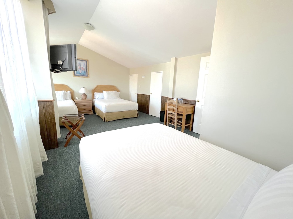 Biohotel 31/67