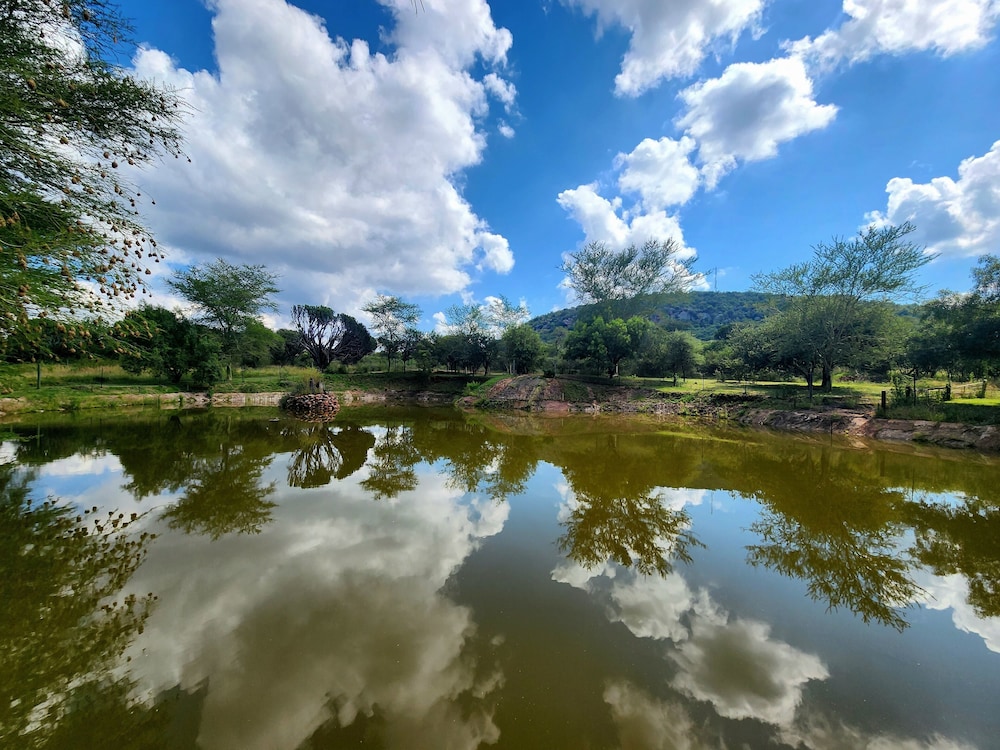Buyskop Lodge 39/50
