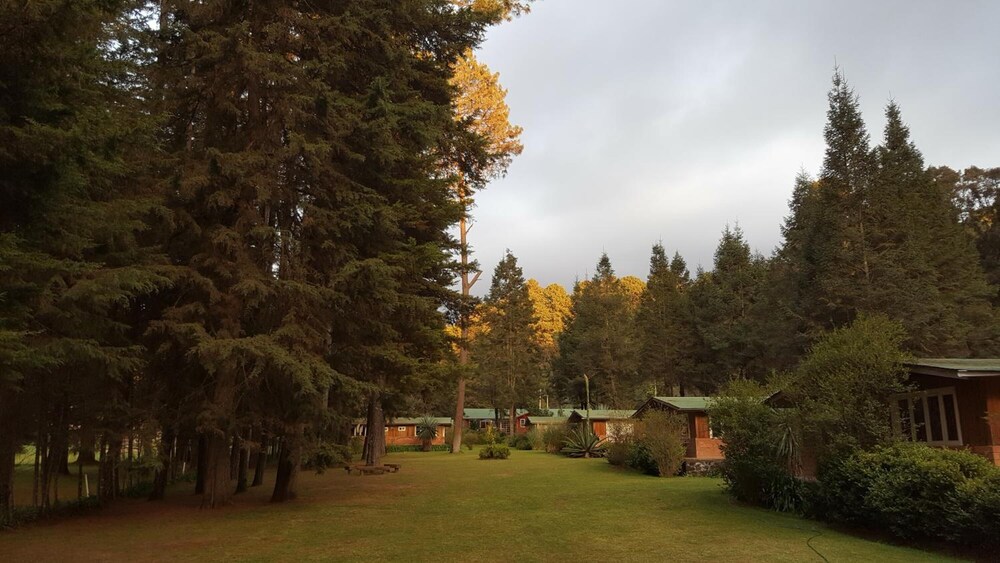 Hotel Rancho Viejo 38/48