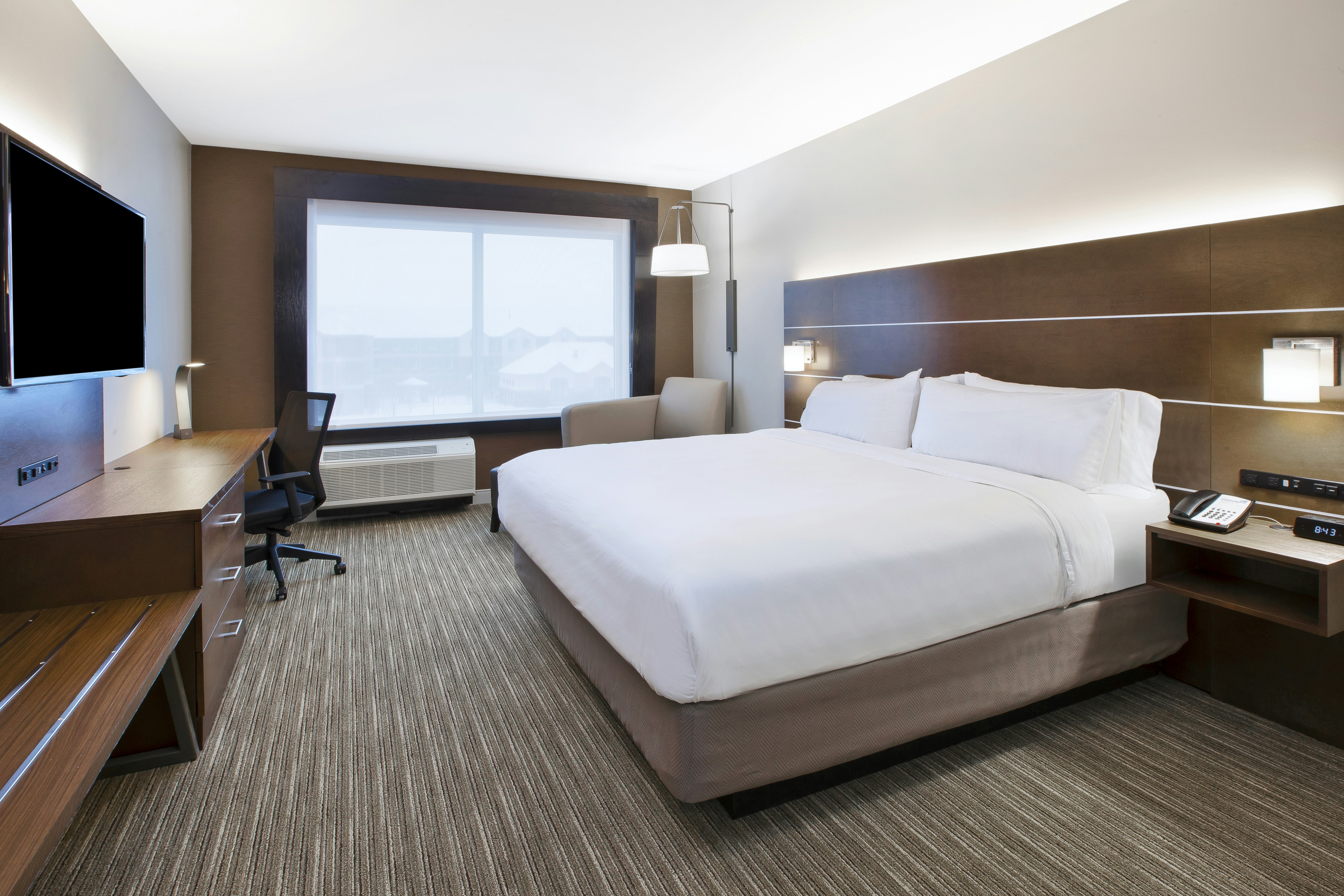 HOLIDAY INN EXPRESS & SUITES OKEMOS - UNIVERSITY AREA 11/41