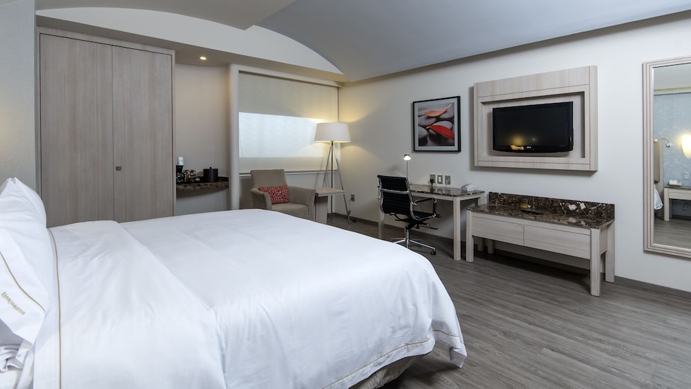 HOLIDAY INN EXPRESS MEXICO - TOREO 13/58