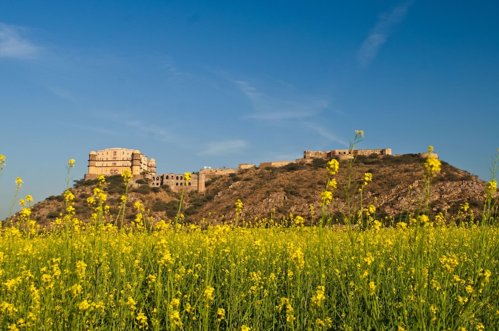 Neemrana’s Tijara Fort-Palace - 19th Century, Alwar 49/54