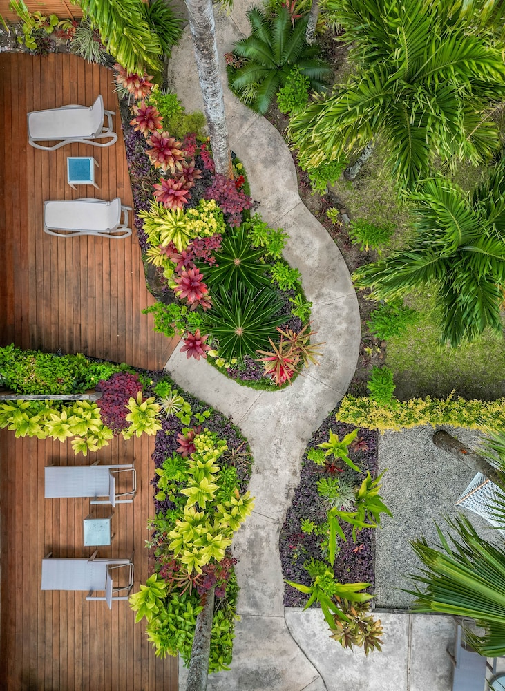 Rarotonga Daydreamer Resort 38/50