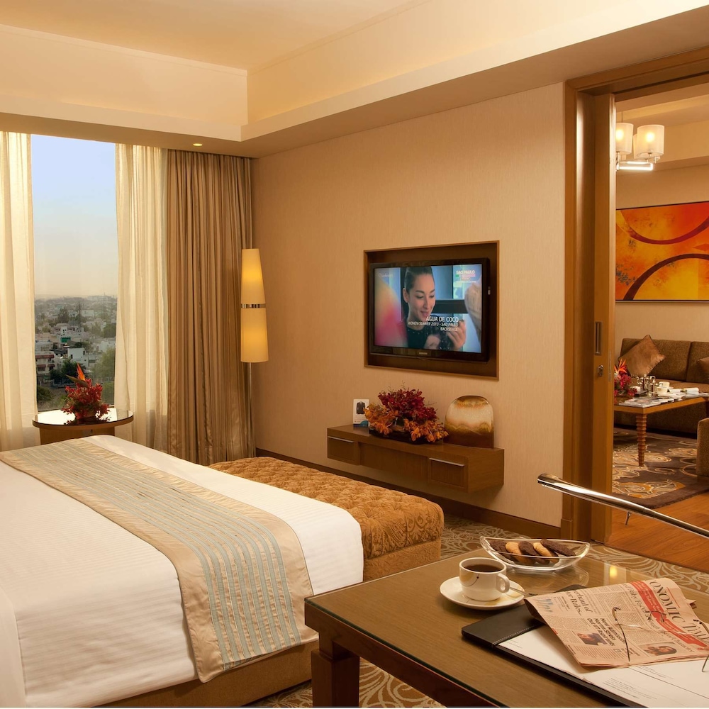 Radisson Blu Hotel Nagpur 17/70