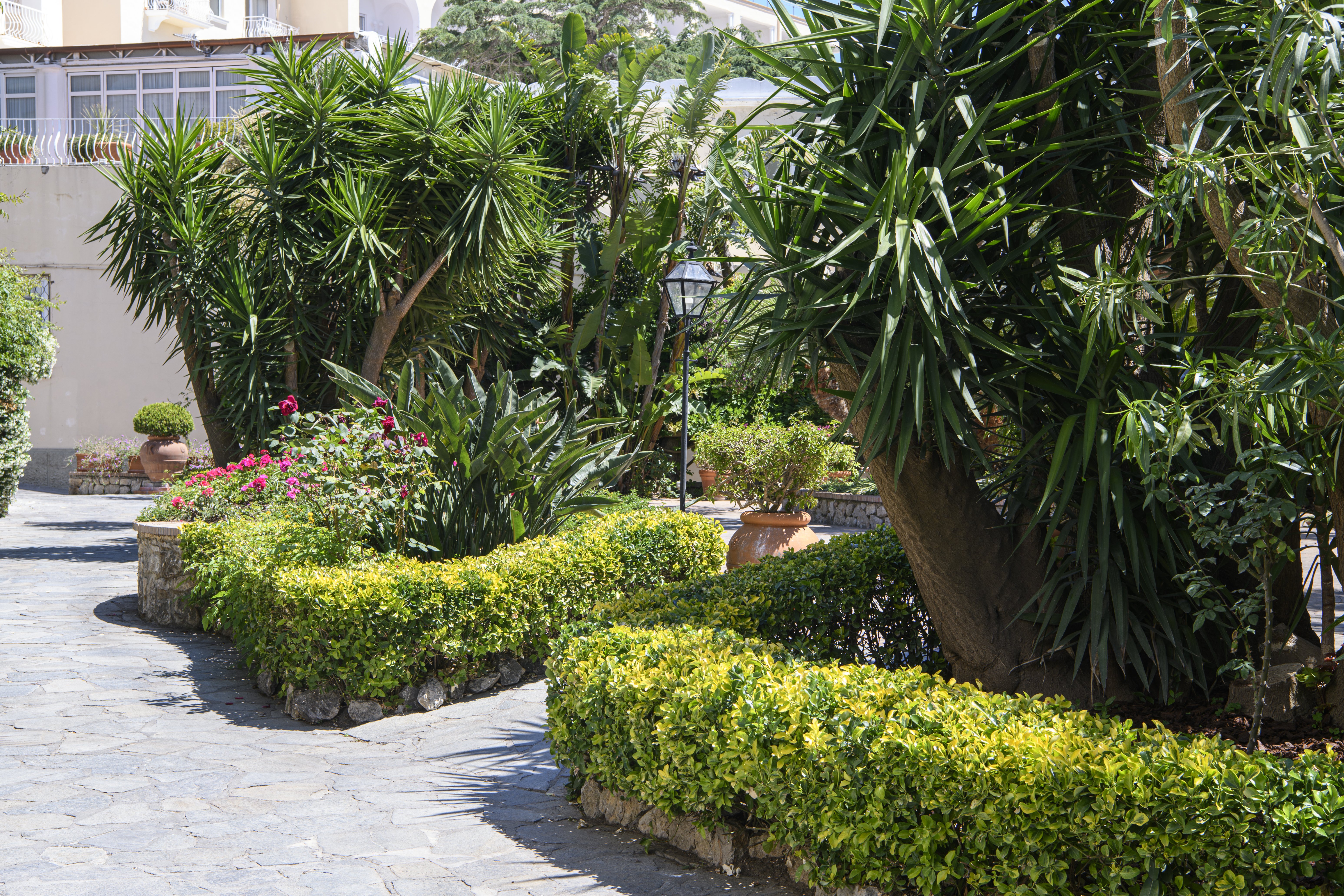 La Residenza Capri 92/100